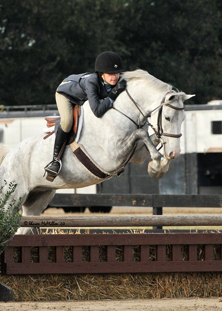Gallery - Cypress Grove Stables